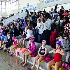 Un bellissimo giorno di cloro alla piscina comunale di Andria