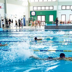 Un bellissimo giorno di cloro alla piscina comunale di Andria