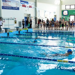 Un bellissimo giorno di cloro alla piscina comunale di Andria