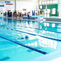 Un bellissimo giorno di cloro alla piscina comunale di Andria