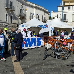 Una domenica di corsa con il Gruppo Sportivo Ciclo Avis di Andria