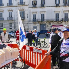 Una domenica di corsa con il Gruppo Sportivo Ciclo Avis di Andria