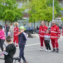 Una domenica di corsa con il Gruppo Sportivo Ciclo Avis di Andria