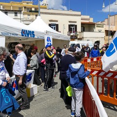 Una domenica di corsa con il Gruppo Sportivo Ciclo Avis di Andria