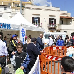 Una domenica di corsa con il Gruppo Sportivo Ciclo Avis di Andria