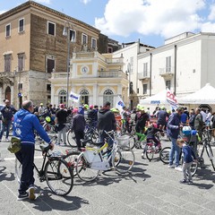Una domenica di corsa con il Gruppo Sportivo Ciclo Avis di Andria