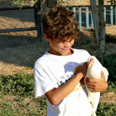 “rEstate in CRI” alla masseria didattica “La Mezzana” di Andria
