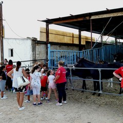 “rEstate in CRI” alla masseria didattica “La Mezzana” di Andria