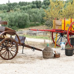 A Montegrosso cerimonia di consegna Premio “MurgiAutentica”