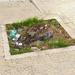 Un’azione di pulizia dell’Associazione 3 Place di Andria insieme ai volontari della Parrocchia Gesù Crocifisso