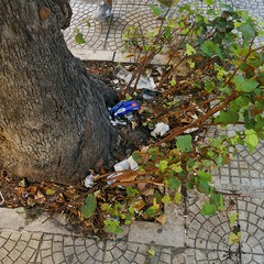 Un’azione di pulizia dell’Associazione 3 Place di Andria insieme ai volontari della Parrocchia Gesù Crocifisso