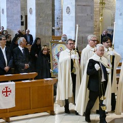 Andria: festa della Madonna di Palestina