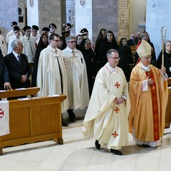 Andria: festa della Madonna di Palestina