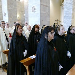 Andria: festa della Madonna di Palestina