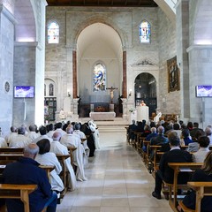 Andria: festa della Madonna di Palestina