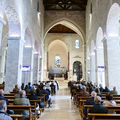 Andria: festa della Madonna di Palestina