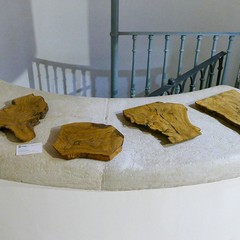 Conclusasi a Montegrosso la sagra di San Martino al Borgo