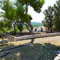 Estate insieme alla Masseria San Vittore