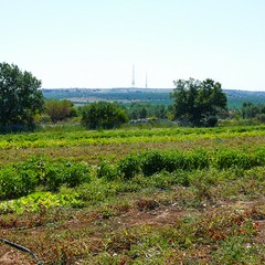 Estate insieme alla Masseria San Vittore