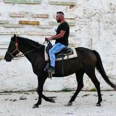 "Lacrime de Criste" - U ciucciariedde de Riccardo