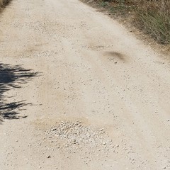 Bitumazione della strada per San Vittore