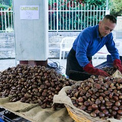La sagra della castagna “Senza Sbarre”