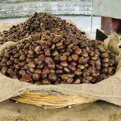 La sagra della castagna “Senza Sbarre”