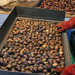 La sagra della castagna “Senza Sbarre”
