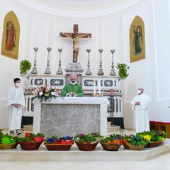Giorno della vita della speranza e della gioia