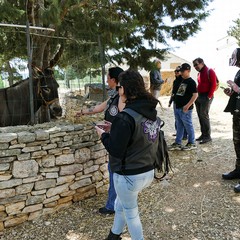 Rombi di passione alla Masseria San Vittore “Senza Sbarre”