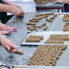 Ventata di freschezza giovanile all’interno della Masseria San Vittore