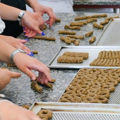 Ventata di freschezza giovanile all’interno della Masseria San Vittore