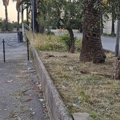 i paladini del territorio ripuliscono aree cittadine