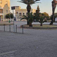 i paladini del territorio ripuliscono aree cittadine