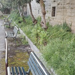 i paladini del territorio ripuliscono aree cittadine