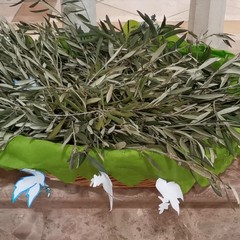 palme