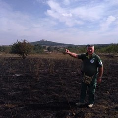 Parco della Murgia incendio