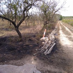 Parco della Murgia incendio