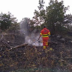 Parco della Murgia incendio