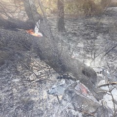 Parco della Murgia incendio