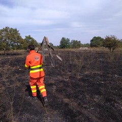 Parco della Murgia incendio