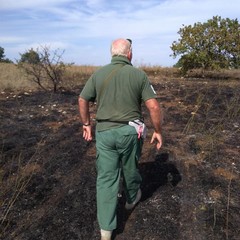 Parco della Murgia incendio