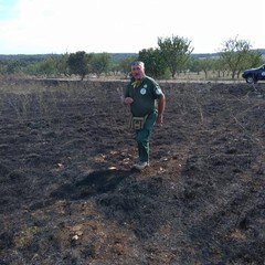 Parco della Murgia incendio