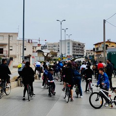 Andria Pedala