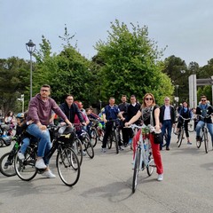 Andria Pedala