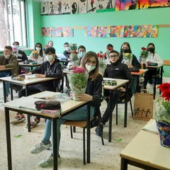 piantine della solidariet andria