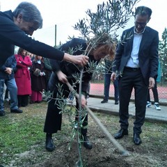 Piantumazione Albero Andria (Fonte pagina Fb CPIA BAT "Gino Strada")