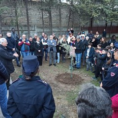 Piantumazione Albero Gino S. (Fonte pagina Fb CPIA BAT "Gino Strada")