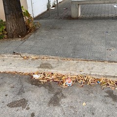 Degrado e sporcizia tra le vie Sofia e Gorizia