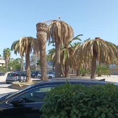 piazza San Pio X